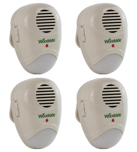 Plug mouse rat rodent - 4, x