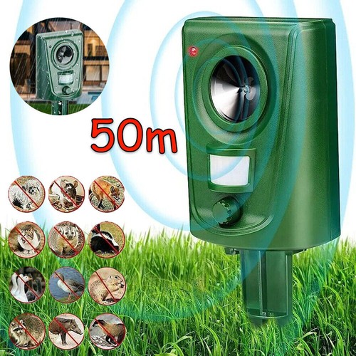 Ultrasonic cat dog - ultrasonic, fox