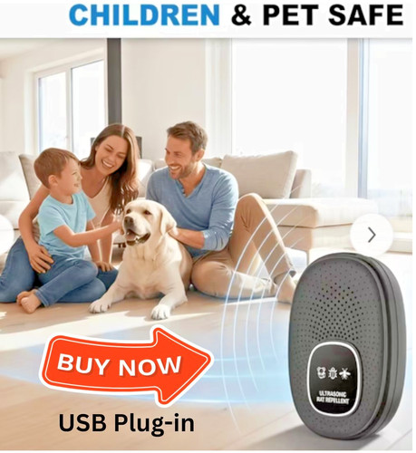 Usb plug in ultrasonic - 2,