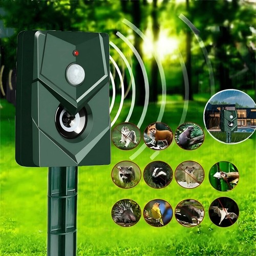 Ultrasonic cat dog fox pest - cat,